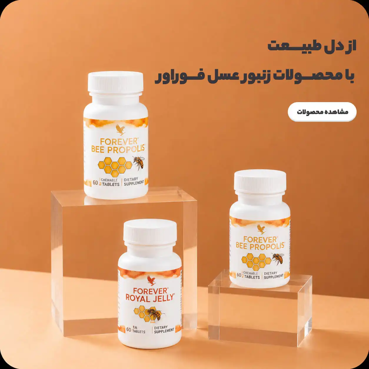 زنبور عسل copy (1)